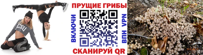 Галлюциногенные грибы Magic Shrooms  хочу   hydra ссылки  Белорецк 